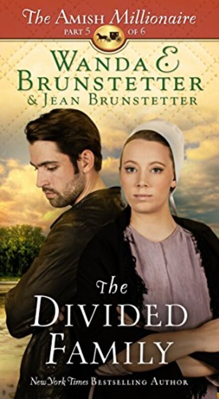 Amish Millionaire book cover