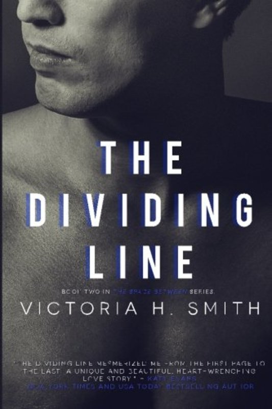 Book cover for "The Dividing Line" by Victoria H Smith