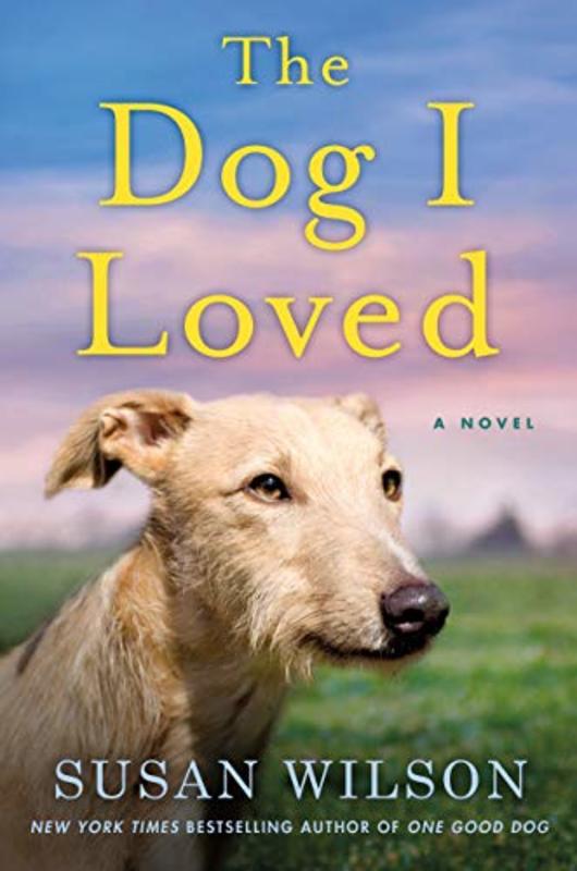 Susan Wilson book cover