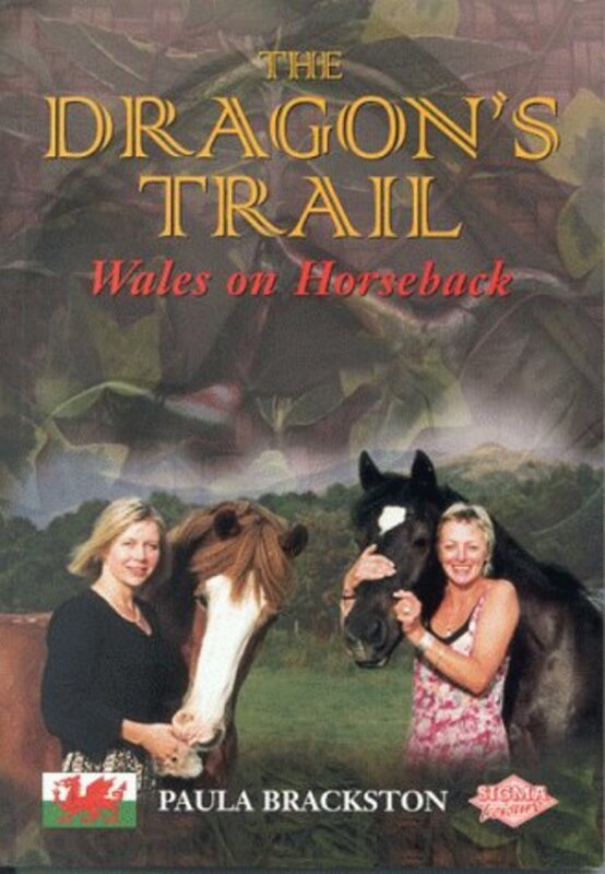 Book cover for "The Dragon's Trail" by Paula PJ Brackston
