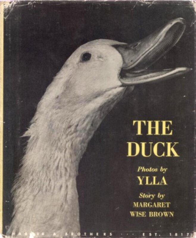 Book cover for "The Duck" by Margaret Wise Brown