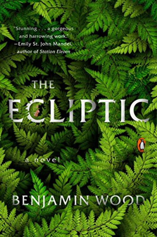 Benjamin Wood book cover