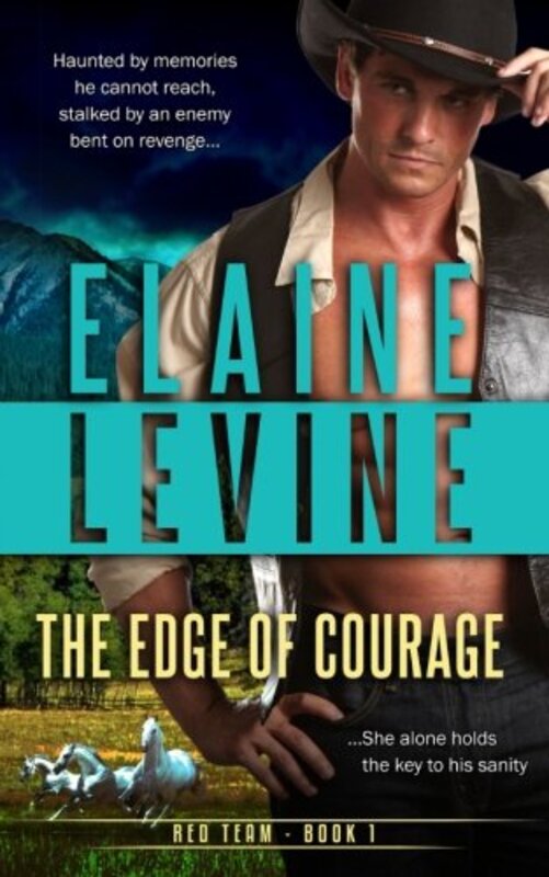 Book cover for "The Edge of Courage" by Elaine Levine