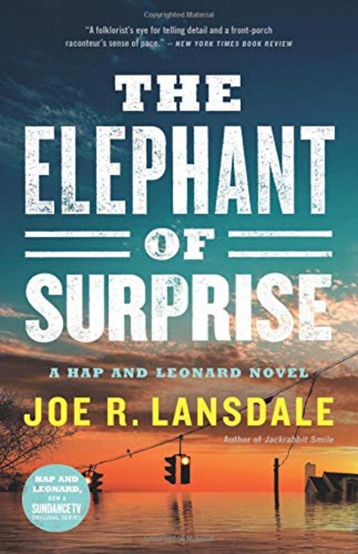 Book cover for "The Elephant of Surprise" by Joe R Lansdale