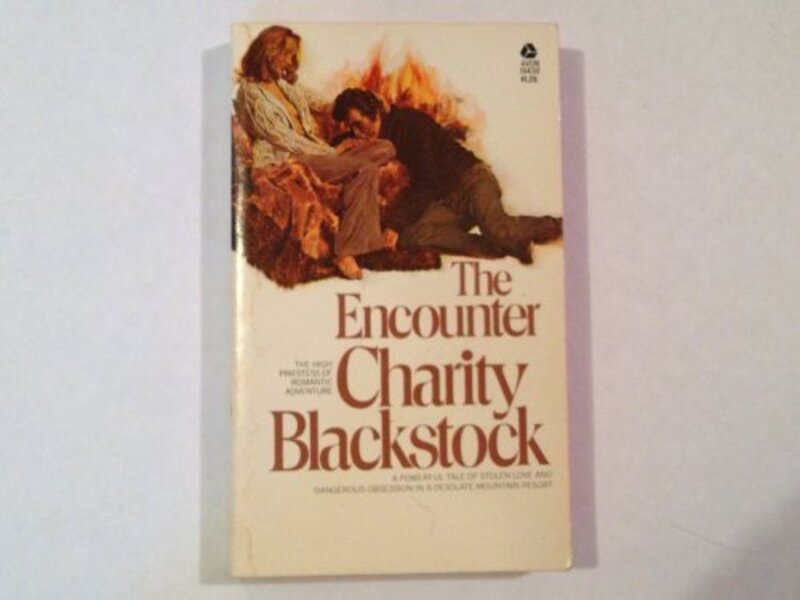 Book cover for "The Encounter" by Charity Blackstock