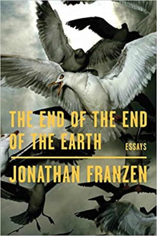 Jonathan Franzen book cover