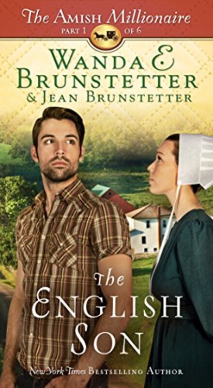 Amish Millionaire book cover