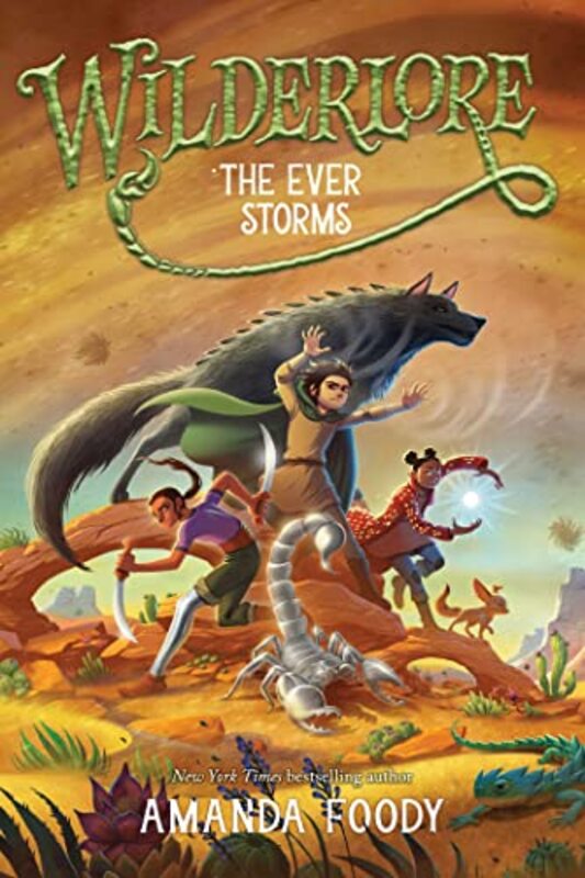Amanda Foody book cover