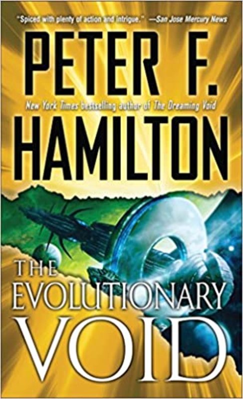 The Void book cover