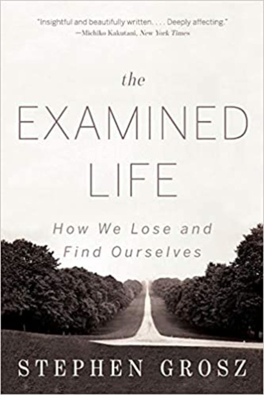 Book cover for "The Examined Life" by Stephen Grosz