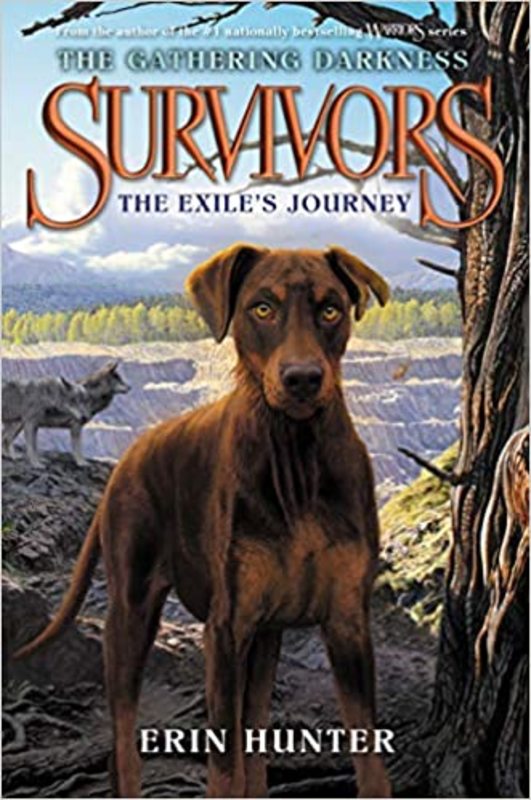 Book cover for "The Exile's Journey" by Erin Hunter