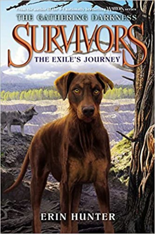 Survivors book cover