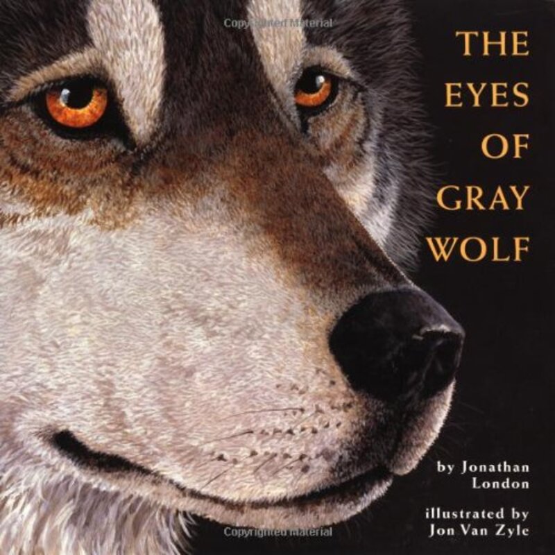 Book cover for "The Eyes of Gray Wolf" by Jonathan London
