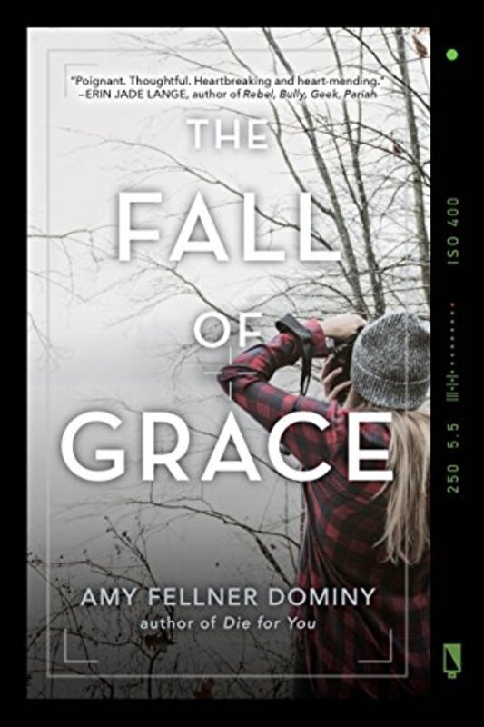 Amy Fellner Dominy book cover