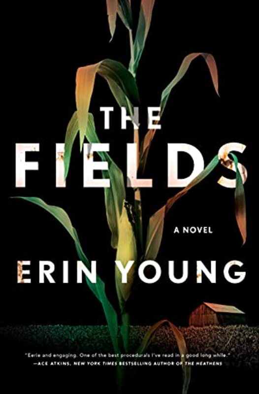 Robyn Young book cover
