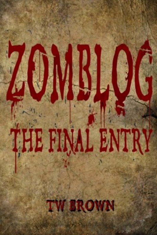 Book cover for "The Final Entry" by T W Brown