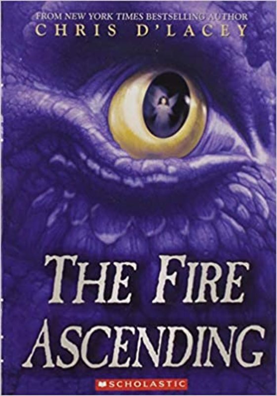The Last Dragon Chronicles book cover