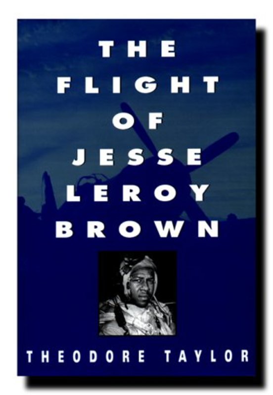 Book cover for "The Flight of Jesse Leroy Brown" by Theodore Taylor