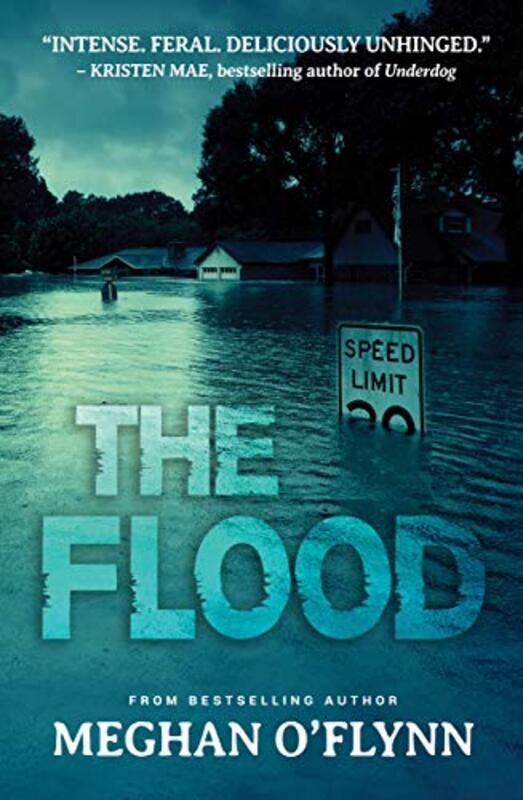 Book cover for "The Flood" by Meghan O'Flynn