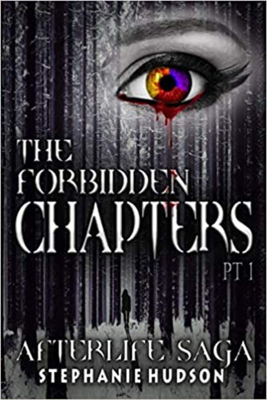 Afterlife Saga book cover