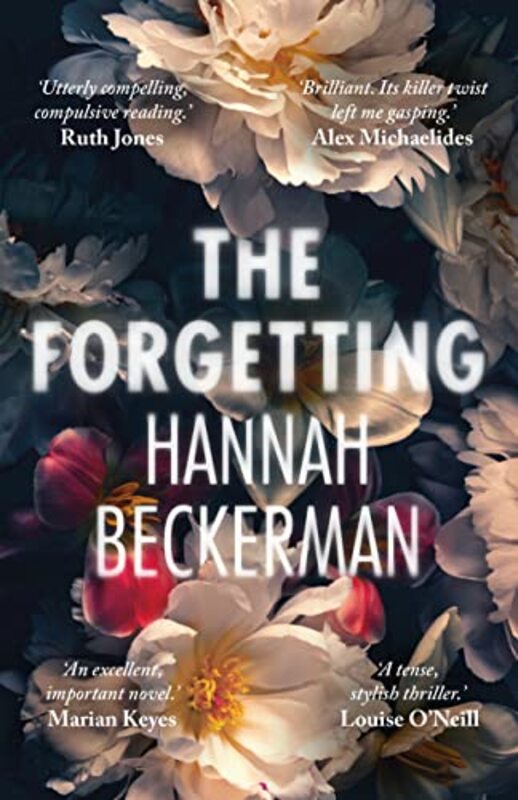 Hannah Beckerman book cover