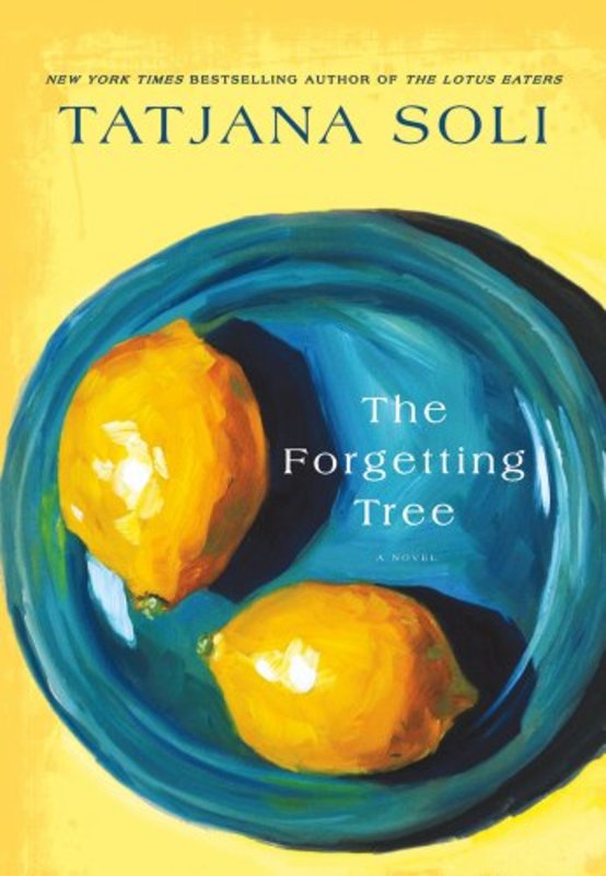 Tatjana Soli book cover
