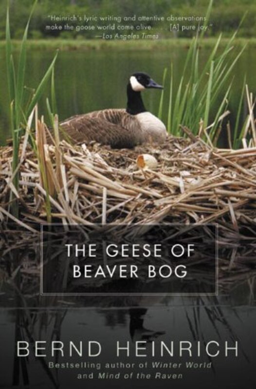 Book cover for "The Geese of Beaver Bog" by Bernd Heinrich