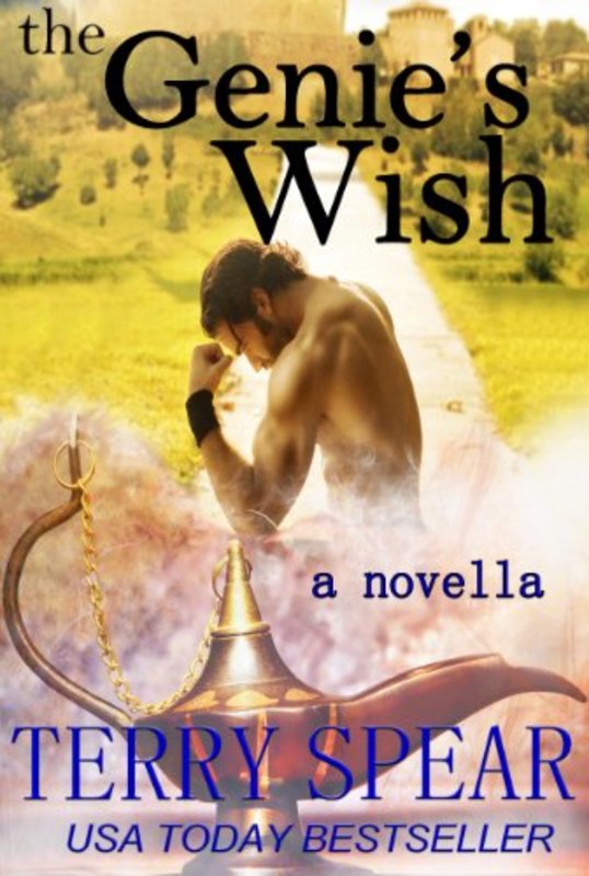 Book cover for "The Genie's Wish" by Terry Spear