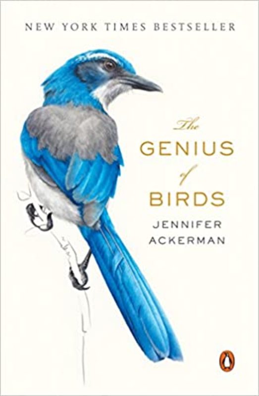 Book cover for "The Genius of Birds" by Jennifer Ackerman