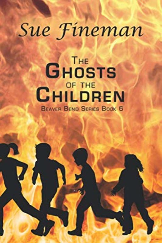 Sue Fineman book cover