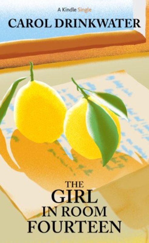Book cover for "The Girl in Room Fourteen" by Carol Drinkwater
