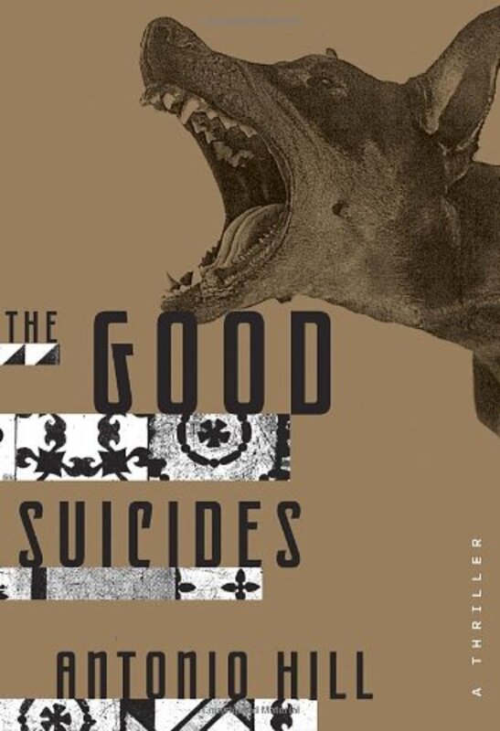 Antonio Hill book cover