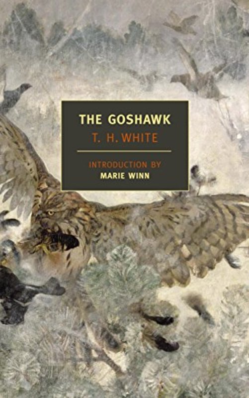 Book cover for "The Goshawk" by TH White