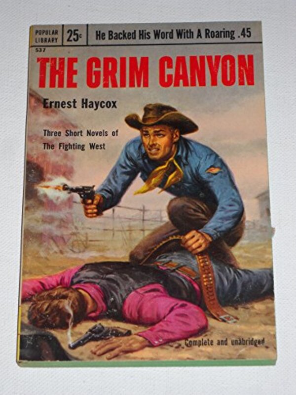 Book cover for "The Grim Canyon" by Ernest Haycox