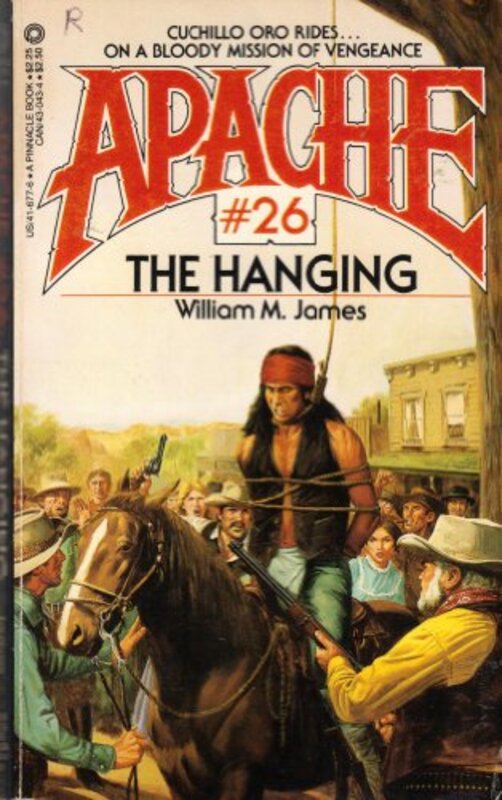 Apache book cover