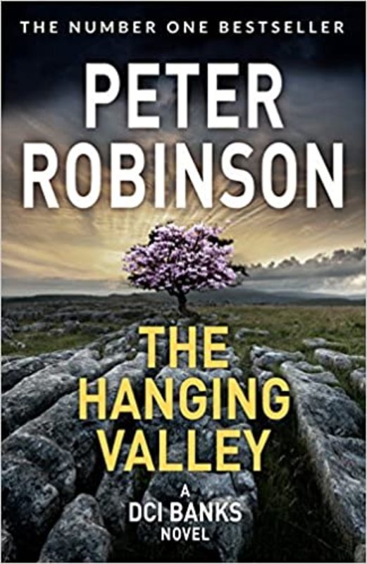 Book cover for "The Hanging Valley" by Peter Robinson
