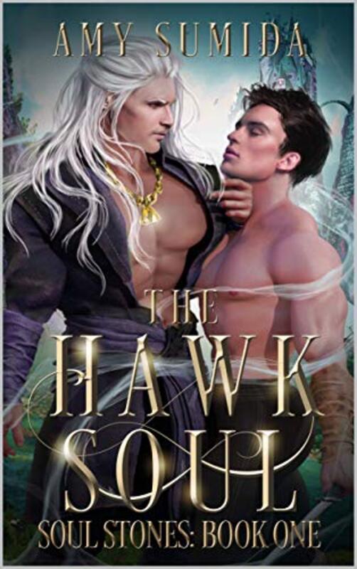 Book cover for "The Hawk Soul" by Amy Sumida