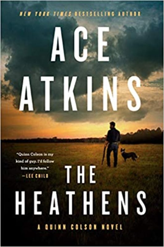 Quinn Colson book cover