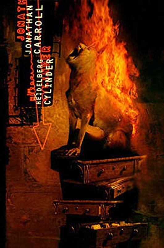 Book cover for "The Heidelberg Cylinder" by Jonathan Carroll