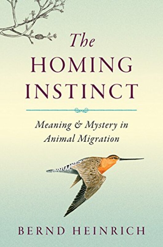 Book cover for "The Homing Instinct" by Bernd Heinrich