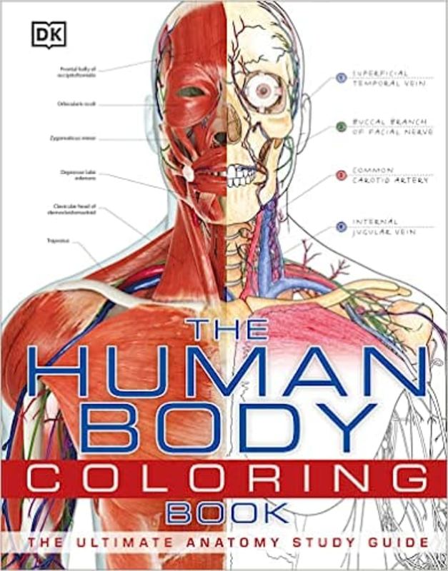 Book cover for "The Human Body Coloring Book" by DK