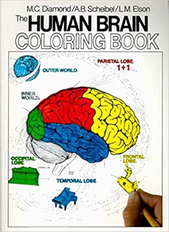 Book cover for "The Human Brain Coloring Book" by Marian C. Diamond