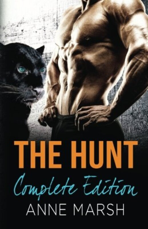 Book cover for "The Hunt" by Anne Marsh