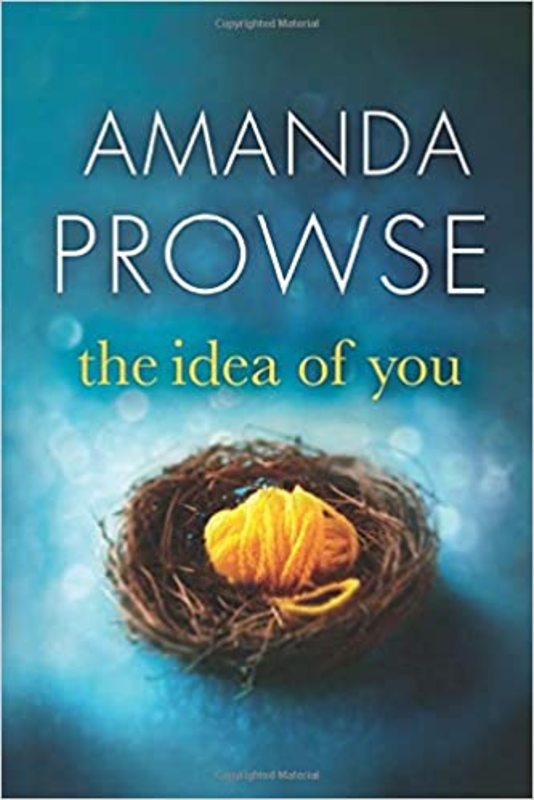 Book cover for "The Idea of You" by Amanda Prowse