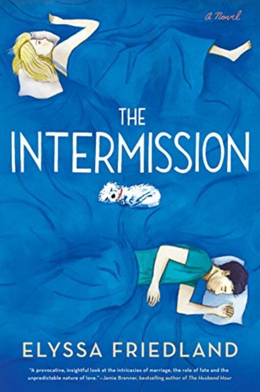 Book cover for "The Intermission" by Elyssa Friedland