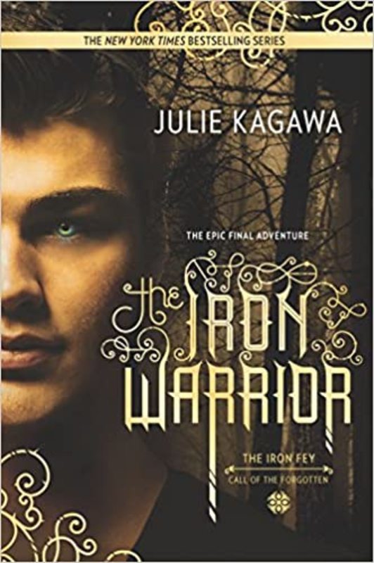 Book cover for "The Iron Warrior" by Julie Kagawa