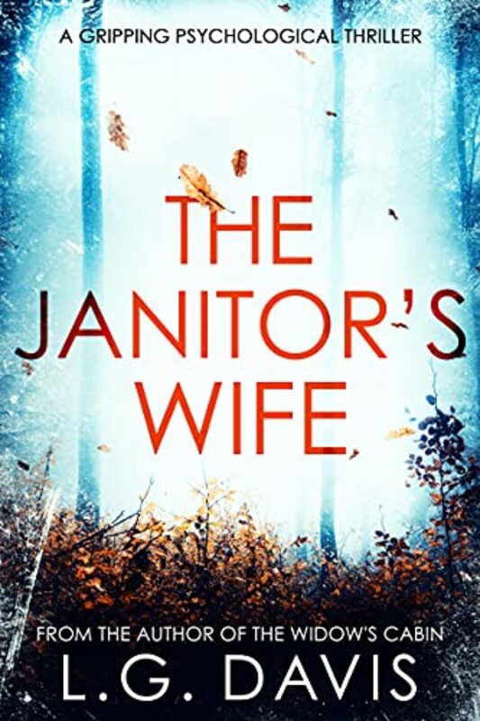 Book cover for "The Janitor's Wife" by LG Davis