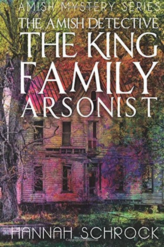 Book cover for "The King Family Arsonist" by Hannah Schrock