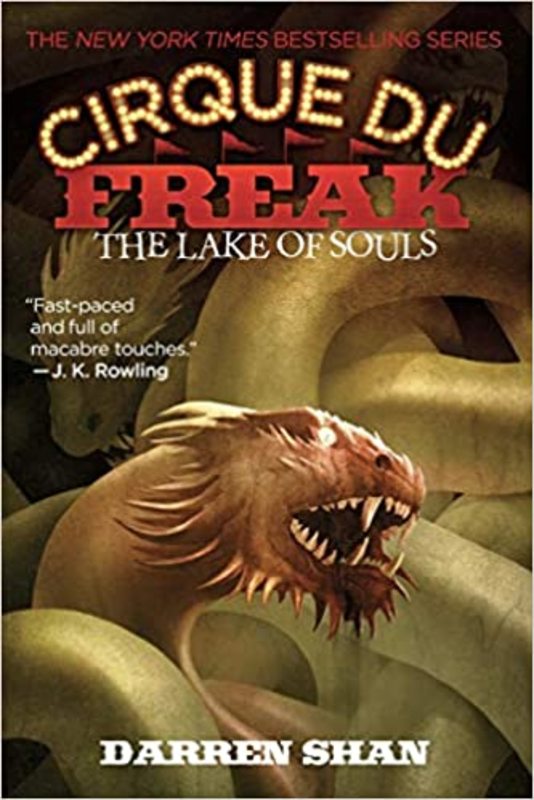Book cover for "The Lake of Souls" by Darren Shan