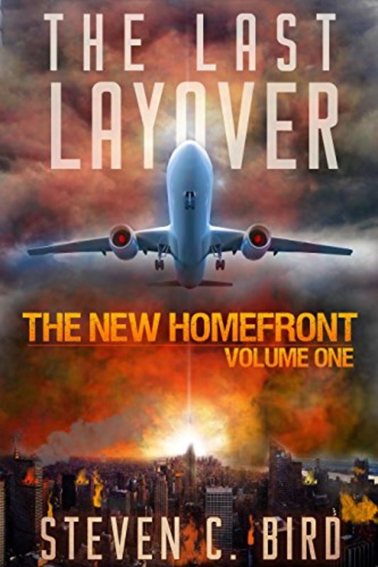 Book cover for "The Last Layover" by Steven C Bird